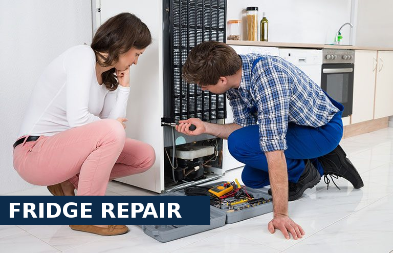 Fridge Repair Sydenham